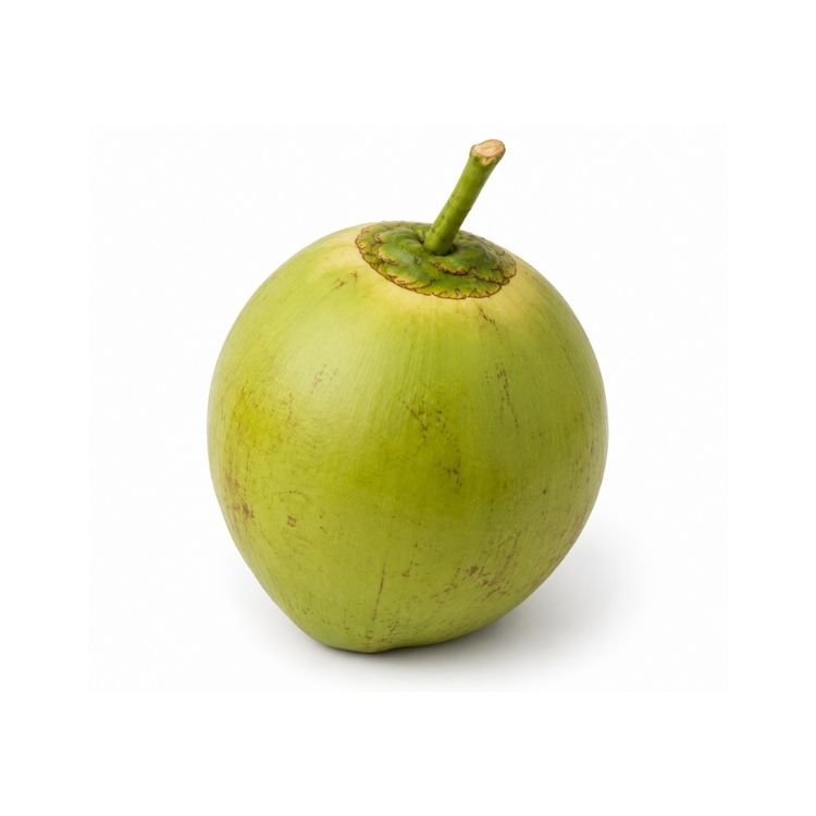 Tender Coconut (Water Coconut) - 1 Pc